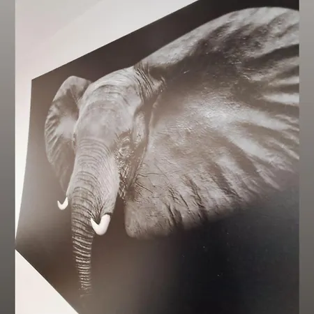 Apartamet Typu Elephant Dla 4 Osob