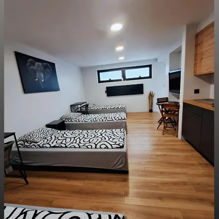 Apartamet Typu Elephant Dla 4 Osob Apartment Plock
